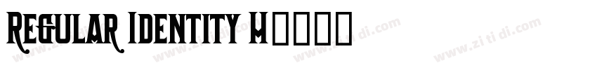 Regular Identity H字体转换
